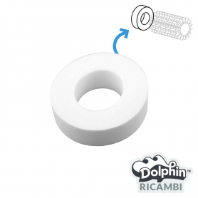 Anello Kanebo Spazzola Combinata Robot Piscina Dolphin